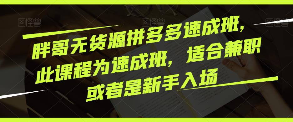胖哥无货源拼多多速成班，此课程为速成班，适合兼职或者是新手入场-赛德副业库