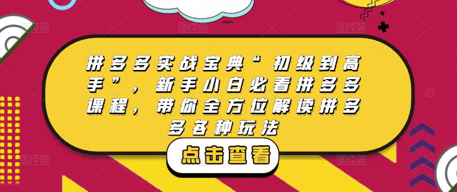 拼多多实战宝典“初级到高手”,新手小白必看拼多多课程,带你全方位解读拼多多各种玩法-赛德副业库