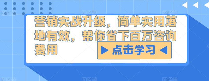 营销实战升级，简单实用落地有效，帮你省下百万咨询费用-赛德副业库
