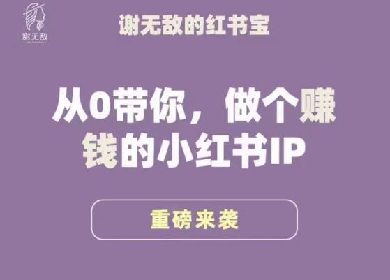 谢无敌·小红书运营大宝典,从0带你做个赚钱的小红书IP-赛德副业库