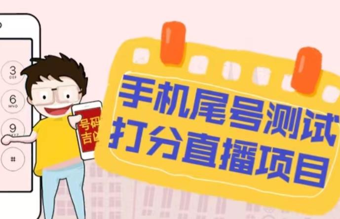 最新抖音爆火的手机尾号测试打分无人直播项目，轻松日赚几百+【打分脚本+详细教程】-赛德副业库