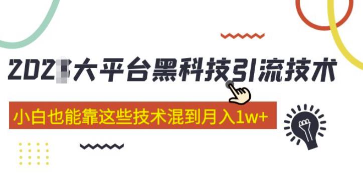 大平台黑科技引流技术，小白也能靠这些技术混到月入1w+(2022年的课程）-赛德副业库
