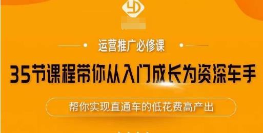 35节课程带你从入门成长为资深车手，让系统学习直通车成为可能，帮你实现直通车的低花费高产出-赛德副业库