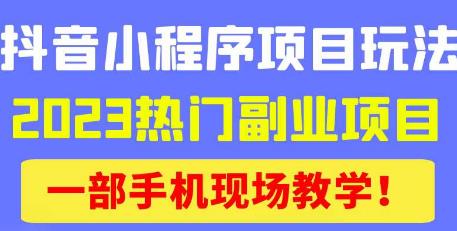 抖音小程序9.0新技巧，2023热门副业项目，动动手指轻松变现-赛德副业库