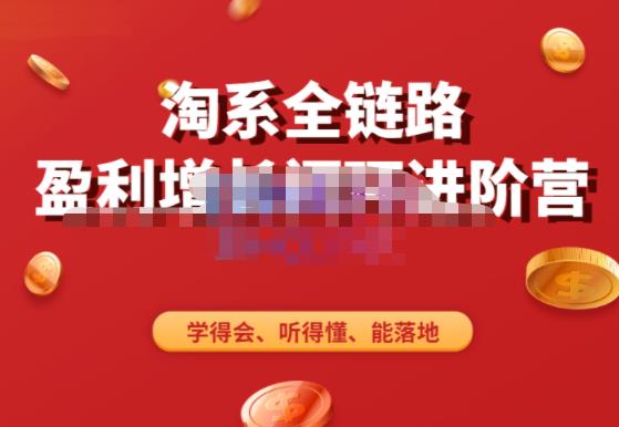 淘系全链路盈利增长闭环进阶营，融合全店动销，学得会、听得懂、能落地！-赛德副业库