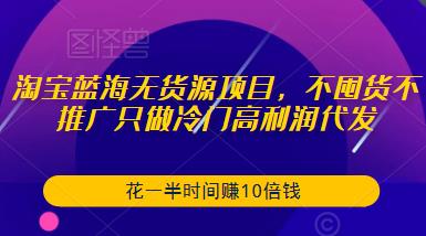 淘宝蓝海无货源项目，不囤货不推广只做冷门高利润代发，花一半时间赚10倍钱-赛德副业库