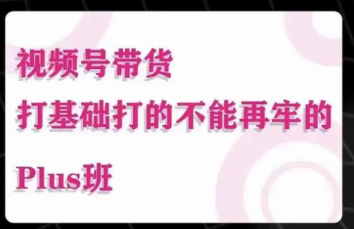 大播汇·视频号带货Puls班，视频号底层逻辑，起号自然流鱼塘等玩法-赛德副业库