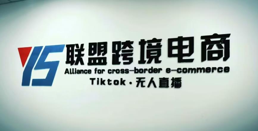 YS联盟·Tiktok无人直播，不出镜不剪辑不拍摄不发货无售后的跨境短视频躺赚玩法-赛德副业库