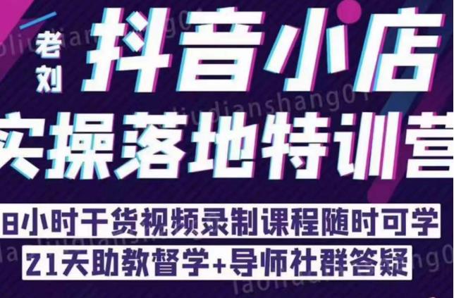抖音小店实操落地特训营：抖音小店无货源精细化运营，抖店商品卡流量（22节）-赛德副业库