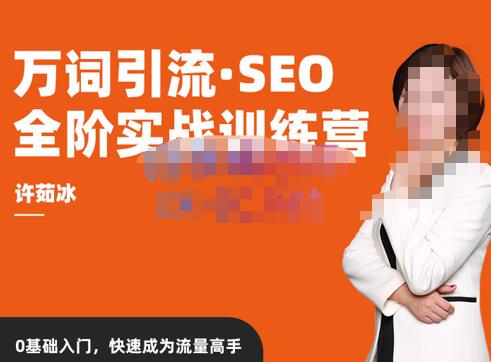 许茹冰·万词引流-SEO全阶实战训练营，0基础入门，快速成为流量高手-赛德副业库