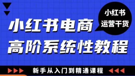 小红书电商高阶系统教程，新手从入门到精通系统课-赛德副业库
