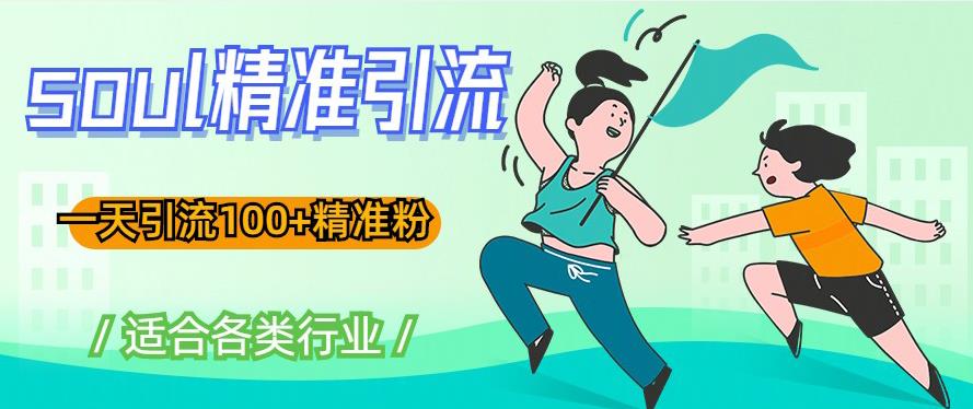 soul精准引流系列课程,一天引流100+精准粉,适合各类行业-赛德副业库