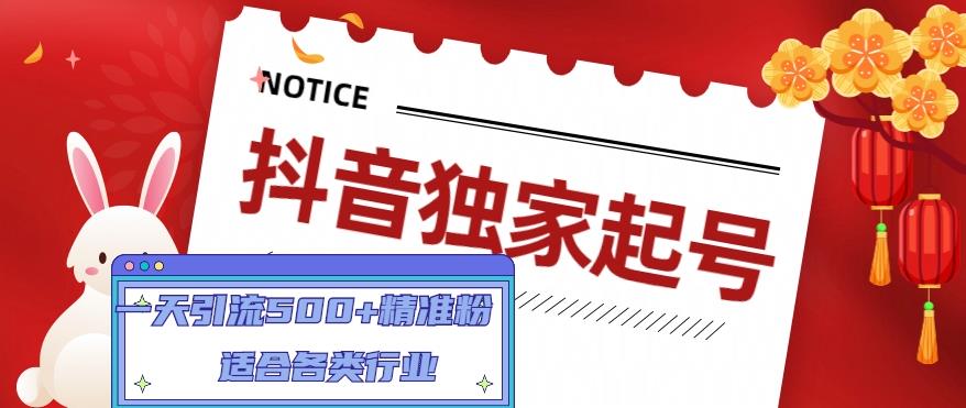 抖音独家起号，一天引流500+精准粉，适合各类行业（9节视频课）-赛德副业库