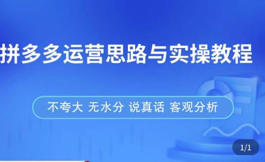 拼多多店铺运营思路与实操教程，快速学会拼多多开店和运营，少踩坑，多盈利-赛德副业库