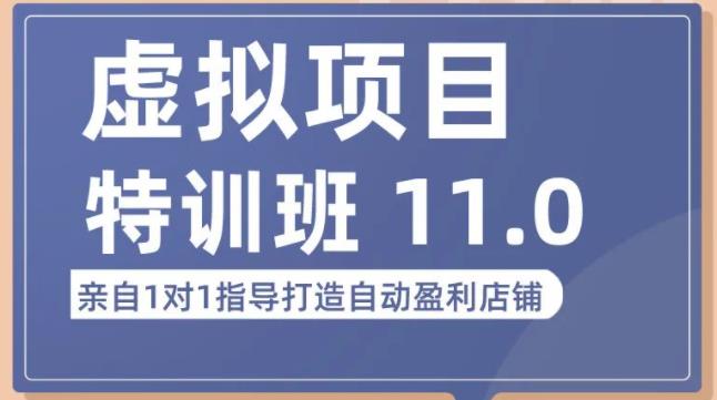 陆明明·虚拟项目特训班（10.0+11.0），0成本获取虚拟素材，0基础打造自动盈利店铺-赛德副业库