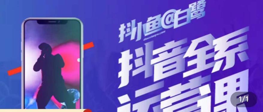 白鹭·主播内训营，运营主播话术起号进阶能力提升-赛德副业库