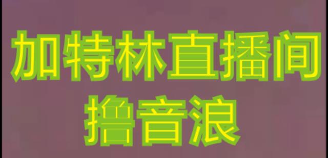 抖音加特林直播间搭建技术，抖音0粉开播，暴力撸音浪，2023新口子，每天800+【素材+详细教程】-赛德副业库