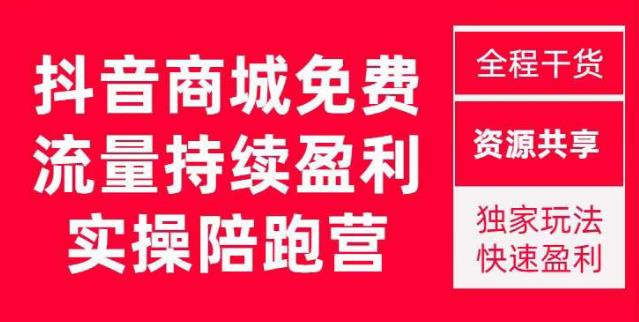 抖音商城搜索持续盈利陪跑成长营,抖音商城搜索从0-1、从1到10的全面解决方案-赛德副业库