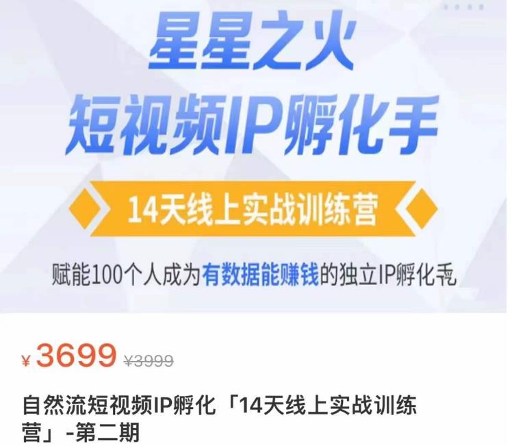 瑶瑶·自然流短视频IP孵化第二期，14天线上实战训练营，赋能100个人成为有数据能赚钱的独立IP孵化手-赛德副业库