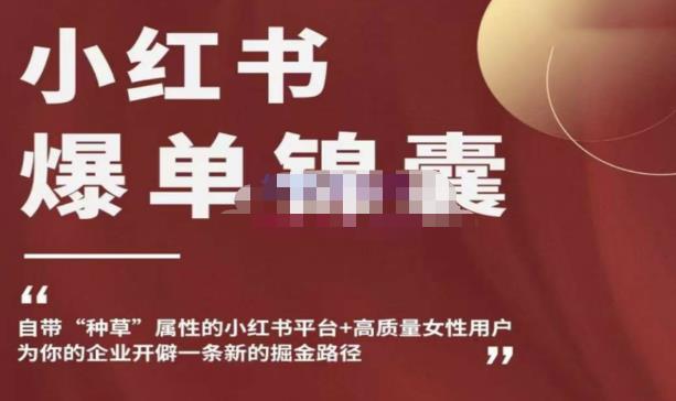 小红书爆单锦囊，自带种草属性+高质量女性用户，为你的企业开辟一条新的掘金路径-赛德副业库