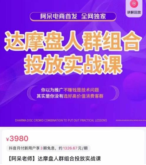 阿呆电商·达摩盘人群组合投放实战课，你以为推广不赚钱是技术问题，其实是你没有选好高价值消费客群-赛德副业库