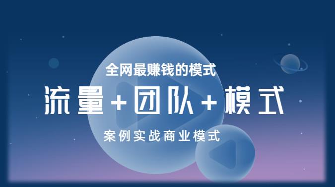 王冲老师《流量+团队+模式》商业模式实战课,全网最赚钱的模式-赛德副业库