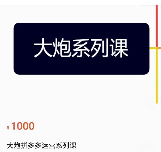 大炮拼多多运营系列课,各类玩法合集,拼多多运营玩法实操-赛德副业库