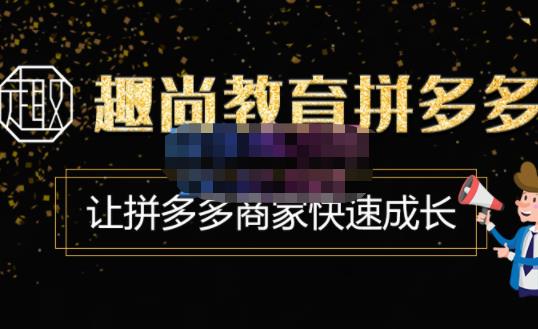 趣尚教育·拼多多运营实操VIP特训营，让拼多多商家快速成长-价值3180元-赛德副业库