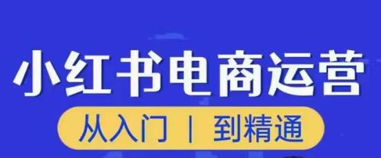 顽石小红书电商高阶运营课程，从入门到精通，玩法流程持续更新-赛德副业库