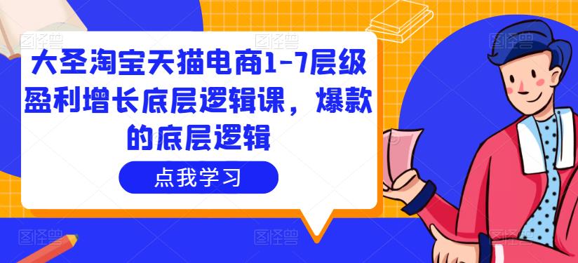 大圣淘宝天猫电商1-7层级盈利增长底层逻辑课，爆款的底层逻辑-赛德副业库