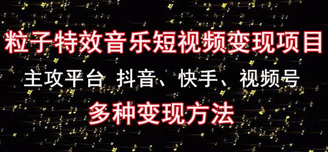 黄岛主《粒子特效音乐短视频变现项目》主攻平台抖音、快手、视频号多种变现方法-赛德副业库