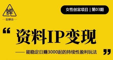 资料IP变现，能稳定日赚3000起的持续性盈利玩法-赛德副业库