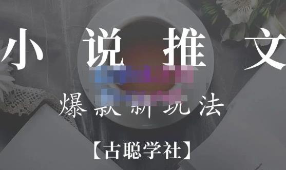 小说推文矩阵号群爆单新玩法，引流技巧+爆款实操+矩阵号玩法，百倍效益、百万播放秘笈-赛德副业库