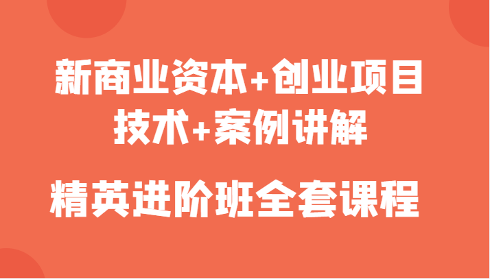 新商业资本+创业项目，技术+案例讲解，精英进阶班全套课程-赛德副业库