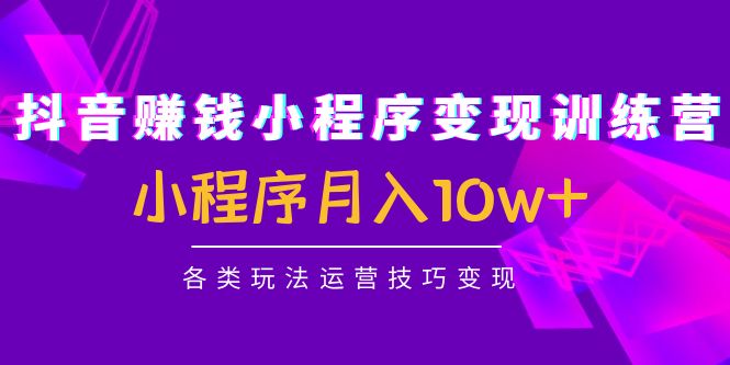 抖音赚钱小程序变现训练营：小程序月入10w+各类玩法运营技巧变现-赛德副业库