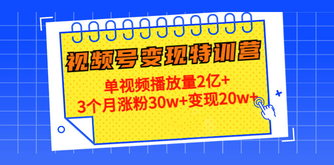 21天视频号变现特训营：单视频播放量2亿+3个月涨粉30w+变现20w+-赛德副业库