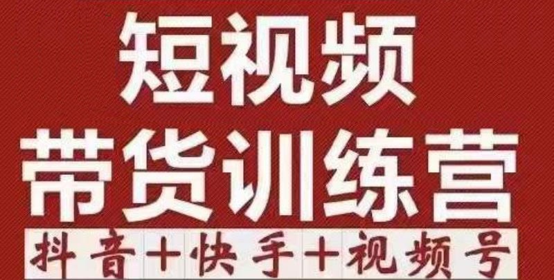 短视频带货特训营抖音+快手+视频号：收益巨大，简单粗暴！-赛德副业库