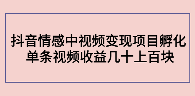 副业孵化营第5期：抖音情感中视频变现项目孵化 单条视频收益几十上百-赛德副业库