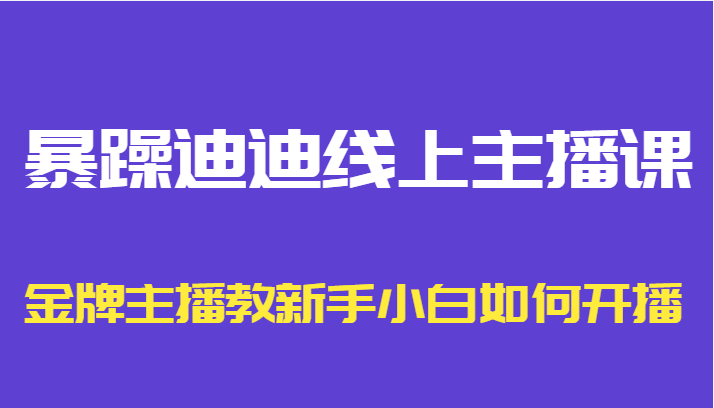 暴躁迪迪线上主播课,金牌主播教新手小白如何开播-赛德副业库