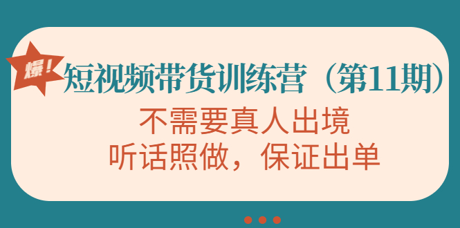 视频带货训练营,不需要真人出境,听话照做,保证出单-赛德副业库