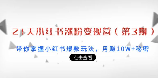 21天小红书涨粉变现营：带你掌握小红书爆款玩法，月赚10W+秘密-赛德副业库