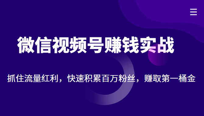微信视频号赚钱实战：抓住流量红利，快速积累百万粉丝，赚取你的第一桶金-赛德副业库