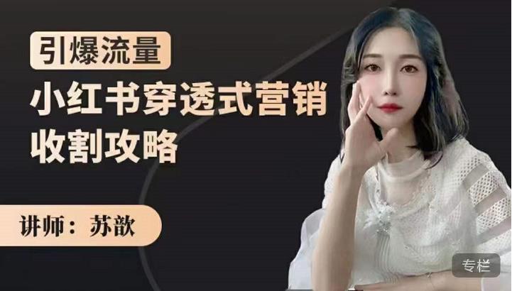 苏歆：小红书穿透式营销收割攻略，引爆流量，助你玩转小红书-赛德副业库