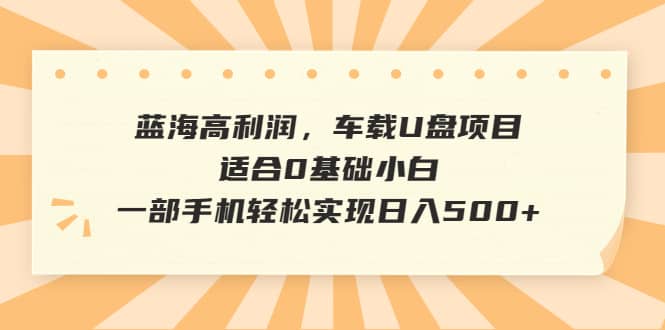 蓝海高利润,车载U盘项目,适合0基础小白,一部手机轻松实现日入500+-赛德副业库