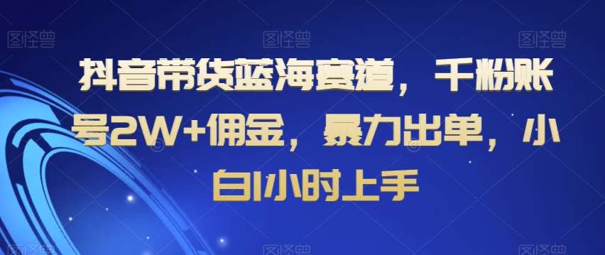 抖音带货蓝海赛道，千粉账号2W+佣金，暴力出单，小白1小时上手【揭秘】-赛德副业库