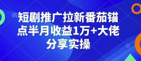 短剧推广拉新番茄锚点半月收益1万+大佬分享实操-赛德副业库