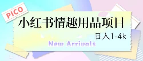 最新小红书情趣用品项目,日入1-4k-赛德副业库
