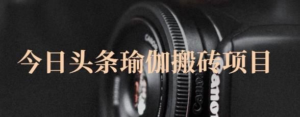 猎人社区·今日头条瑜伽搬砖项目，单号一天几十收入，可以批量操作！-赛德副业库
