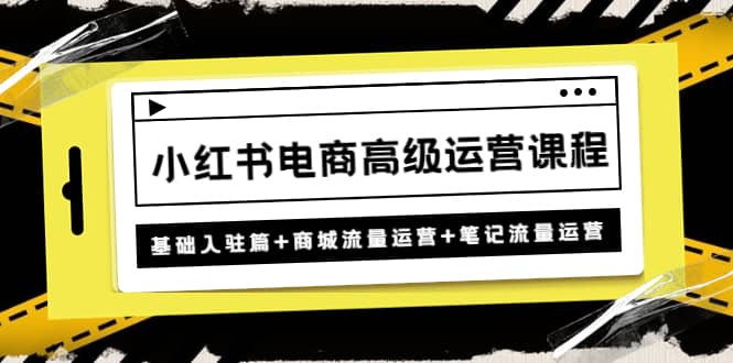 小红书电商高级运营课程:基础入驻篇+商城流量运营+笔记流量运营-赛德副业库