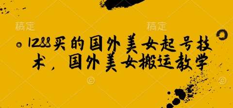1288买的国外美女起号技术，国外美女搬运教学-赛德副业库